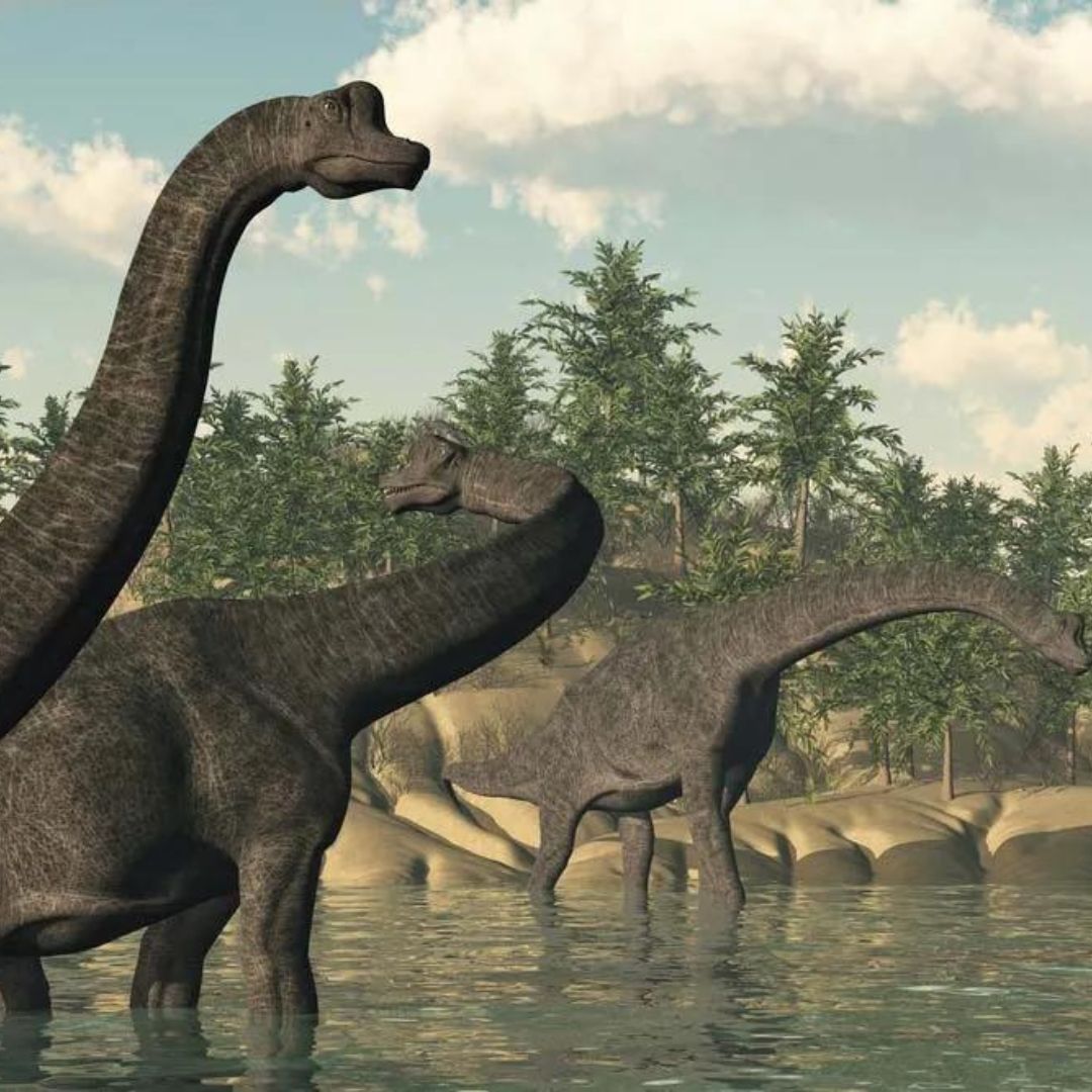 Did Human Ancestors Live Alongside Dinosaurs?