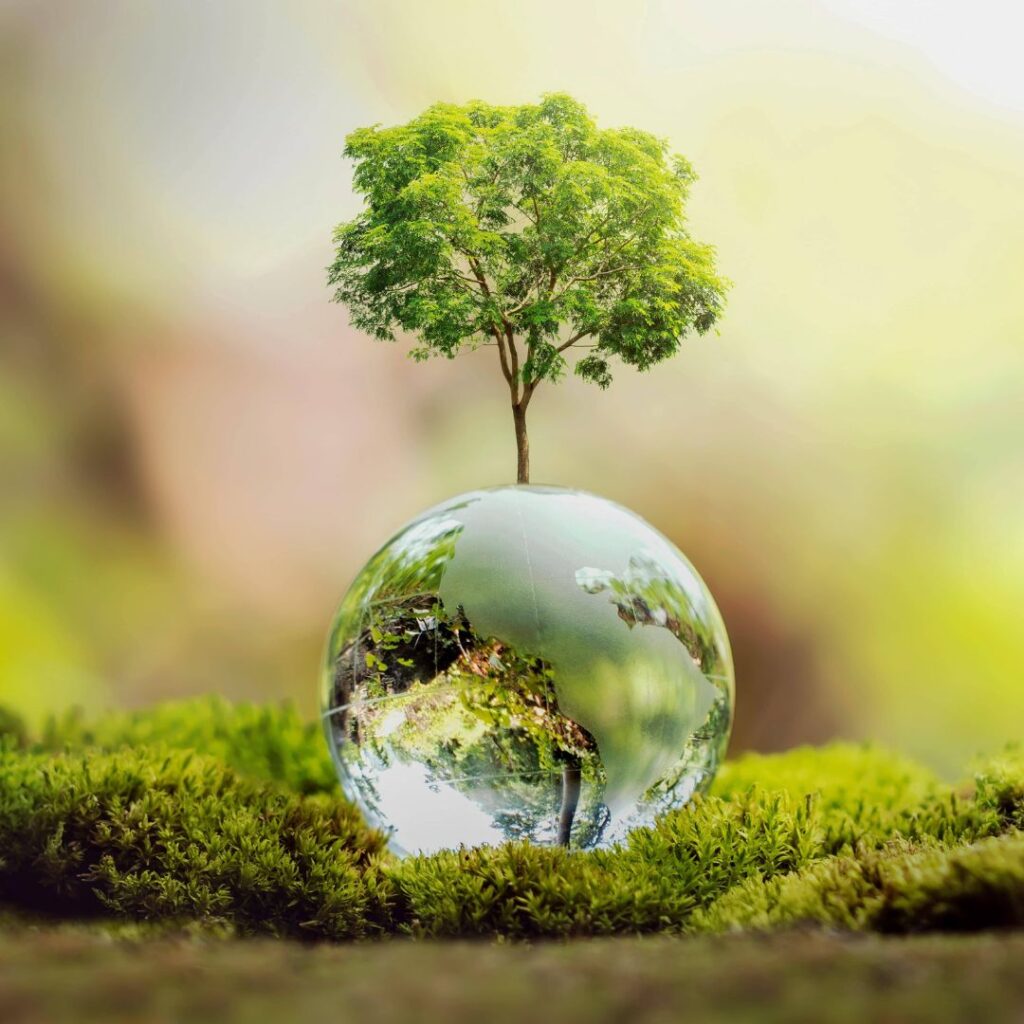 World Environment Day