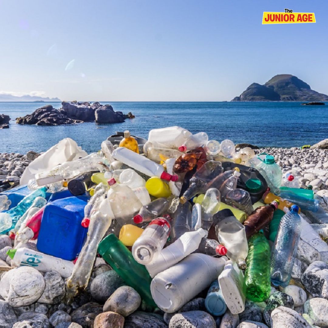 Plastic Pollution: Everything You Need To Know About Plastic Facts And Figures
