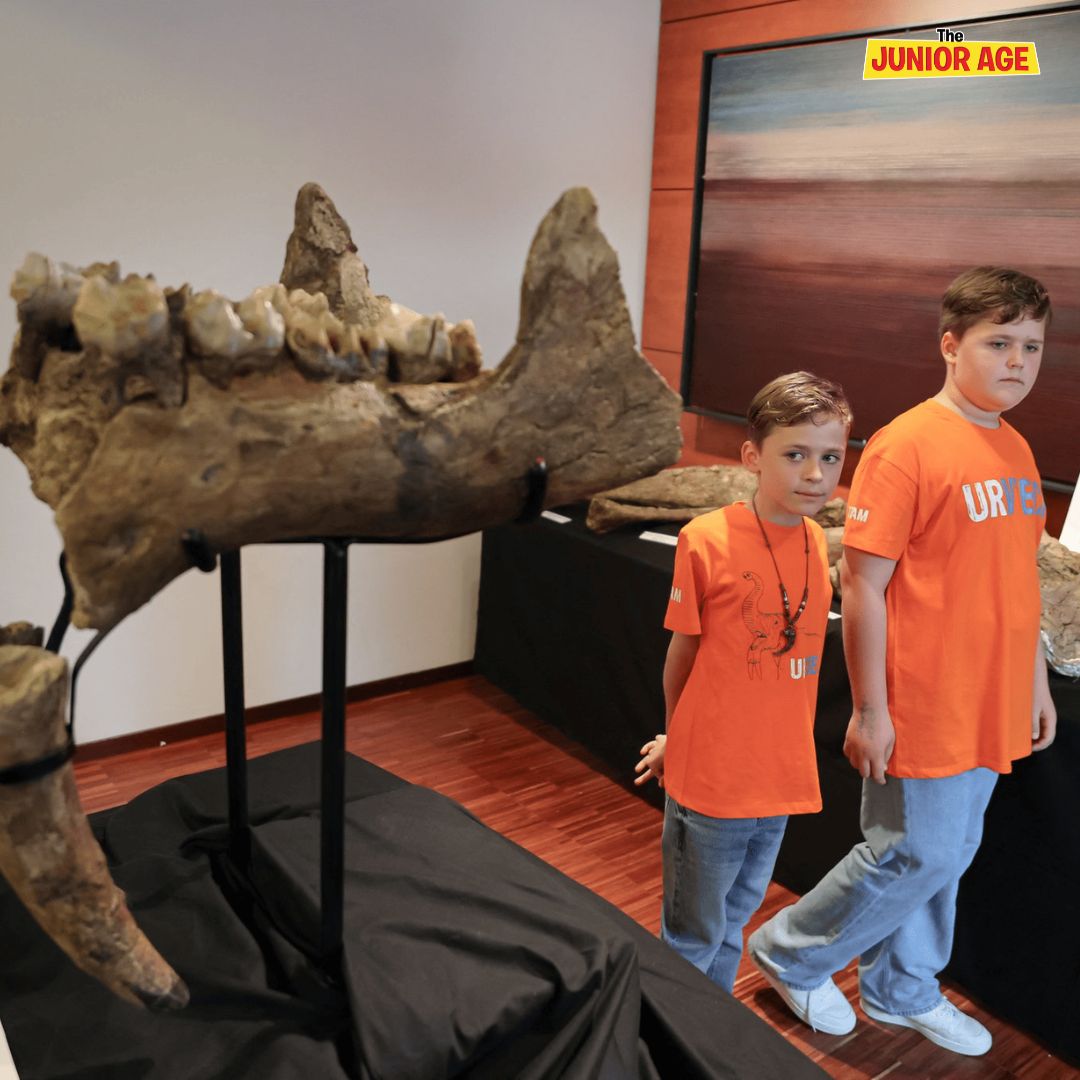 Two Brothers Find Bones Of Prehistoric Elephant