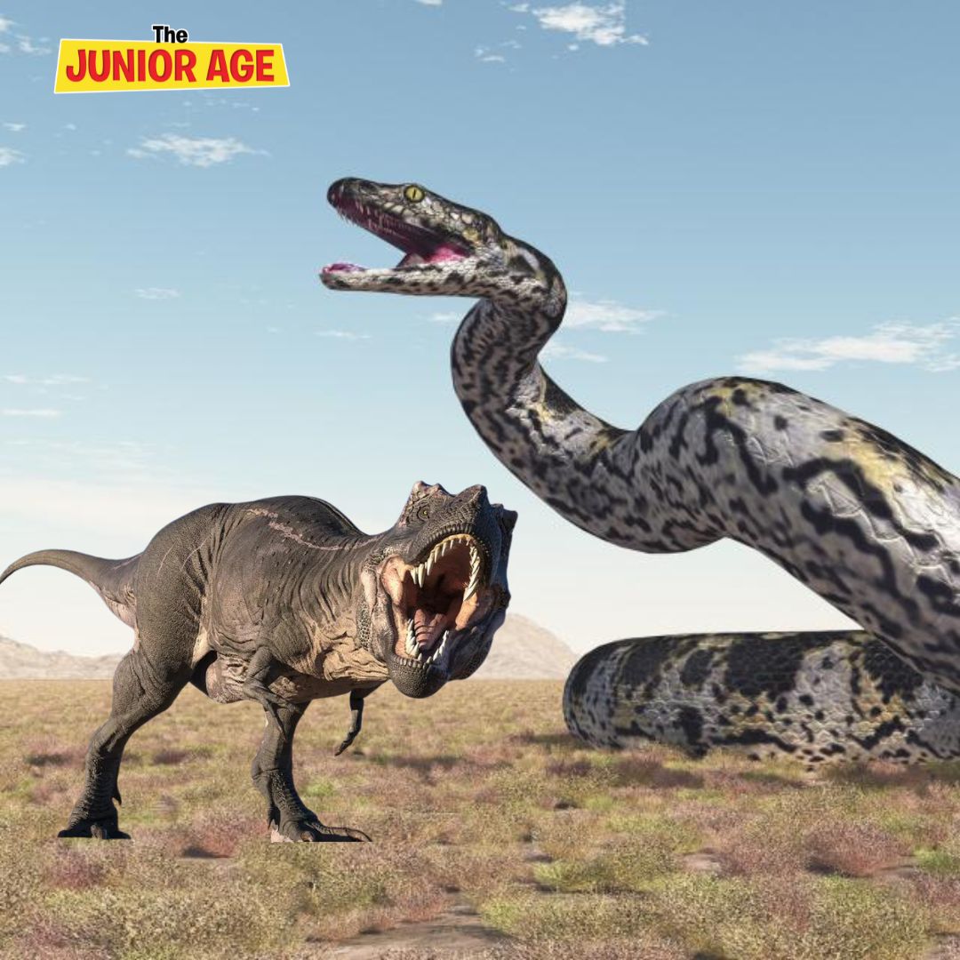 Fossil Of The Largest Snake Ever Discovered In Gujarat 