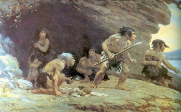 WHO WERE THE NEANDERTHALS visual data 3