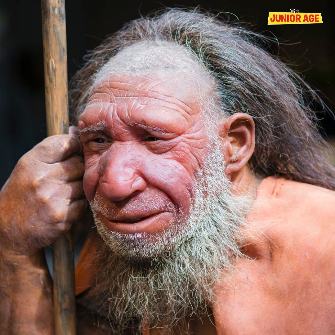 Neanderthals Were A Lot Like Humans