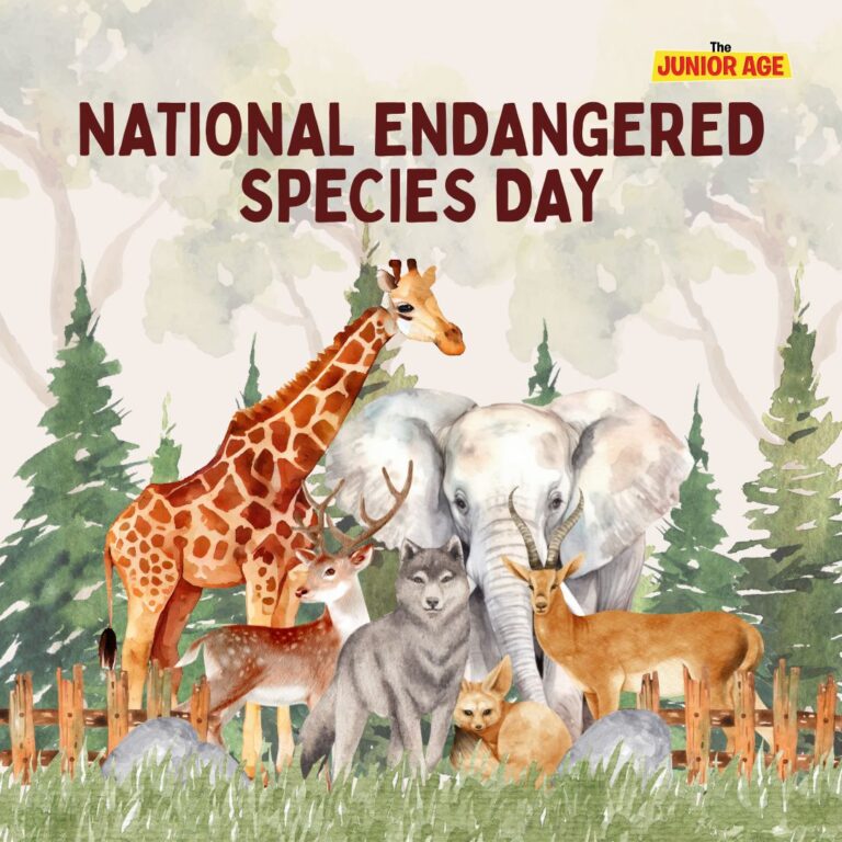 Everything You Need to Know About National Endangered Species Day – The ...