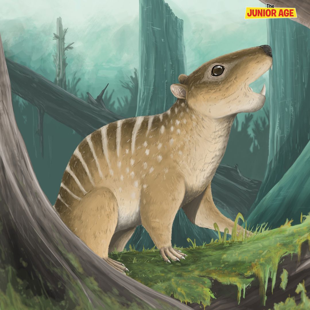 Mini Mammal from the Age of Dinosaurs Discovered
