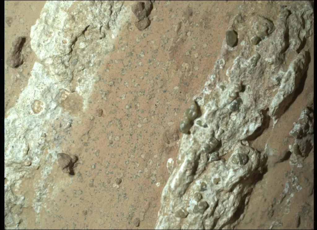 Life On Mars? NASA’s Perseverance Rover Provides Strong Evidence
