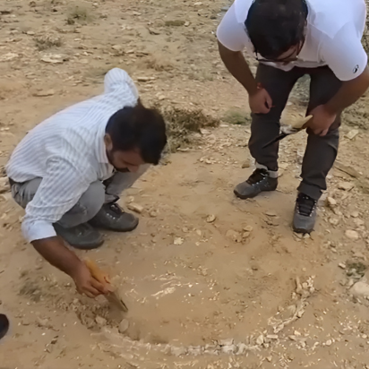 Rare Jurassic Sea Creature Fossil Found In Rajasthan