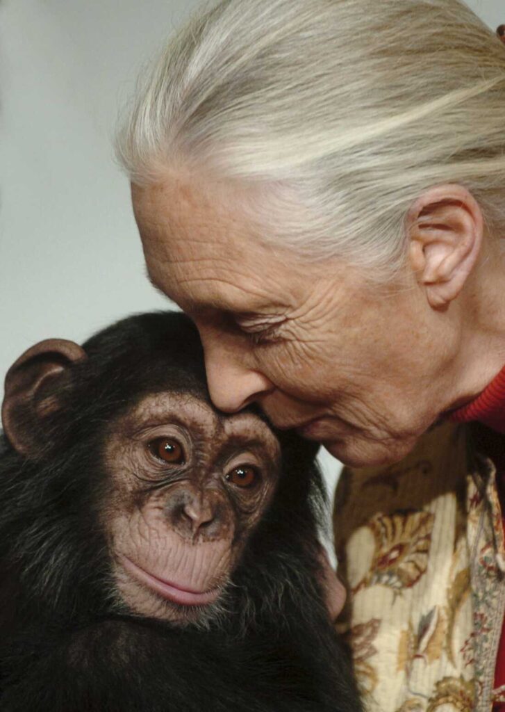 All About the Inspiring Life of Jane Goodall