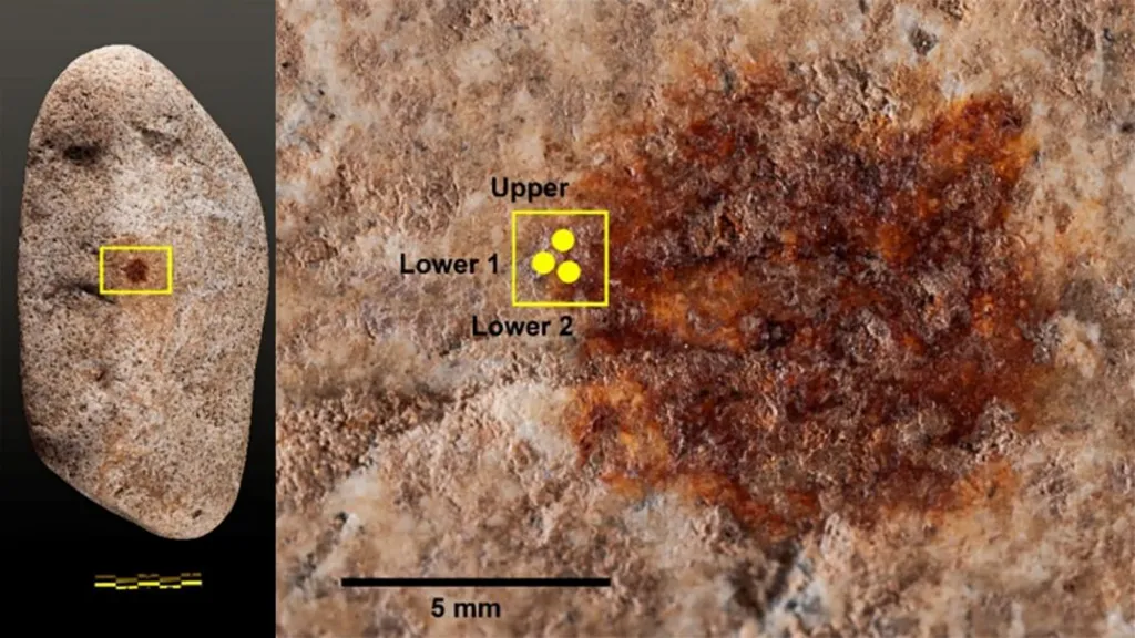 World’s Oldest Fingerprint Found