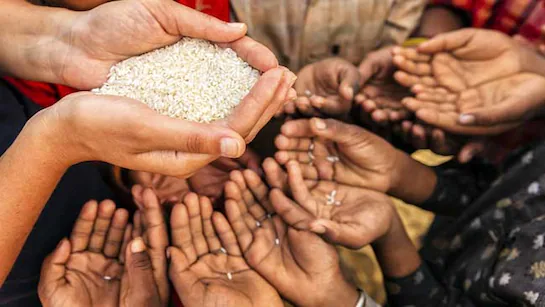UN Report Warns: Global Hunger Crisis!