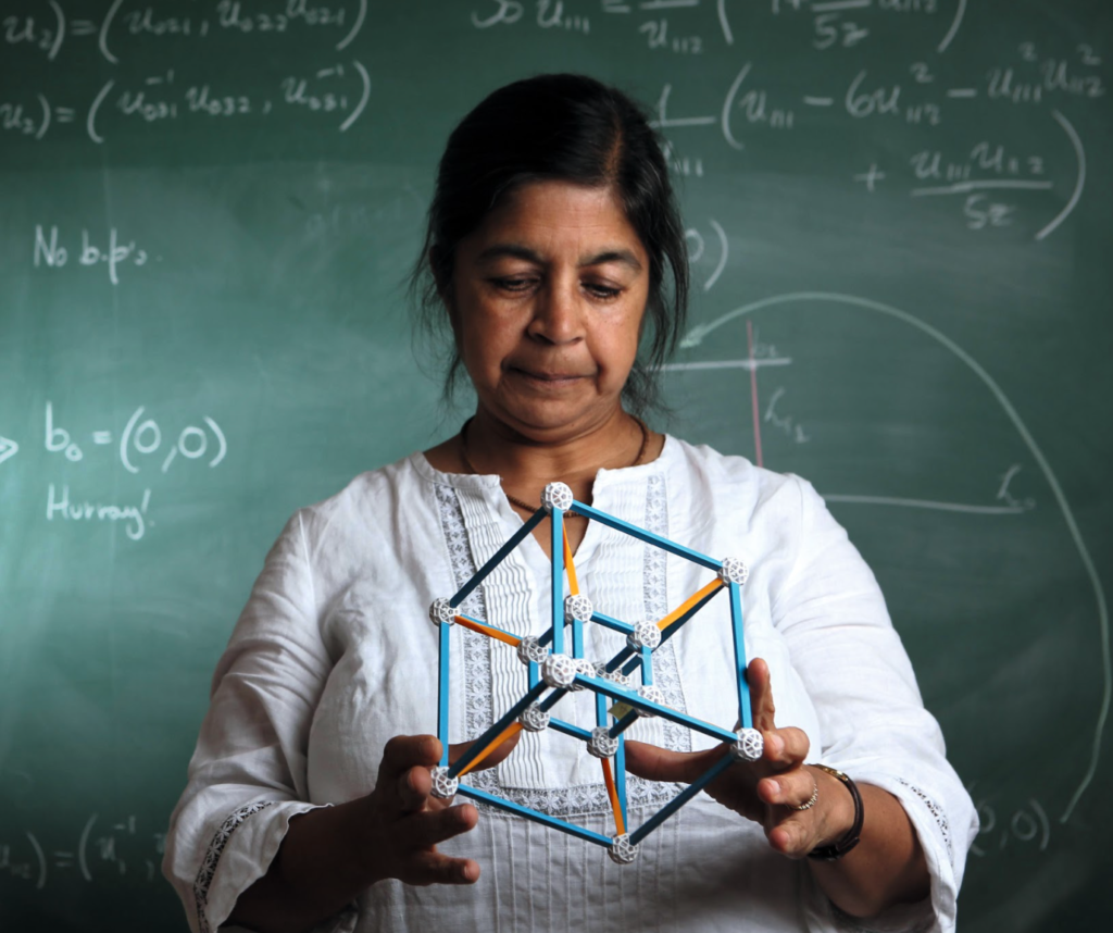 Mathematics leader Nalini Joshi wins NSW scientist of the year