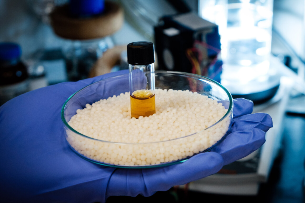 Sunlight Turns Plastic Waste Into Useful Chemical