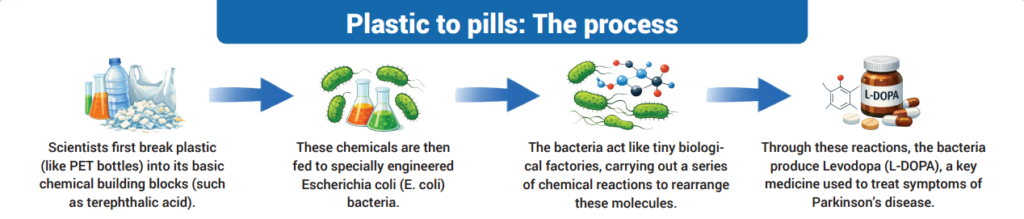 Trash To Breakthrough Treatment: Plastic Waste Turned Into Medicine!
