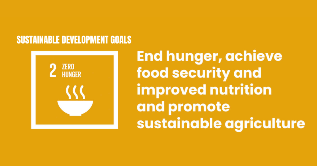 Sustainable Development Goal 2 Ending Hunger For A Better Future