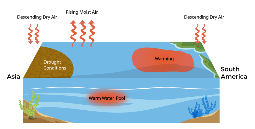 What Is El Nino And What Are Its Effects? Explained!