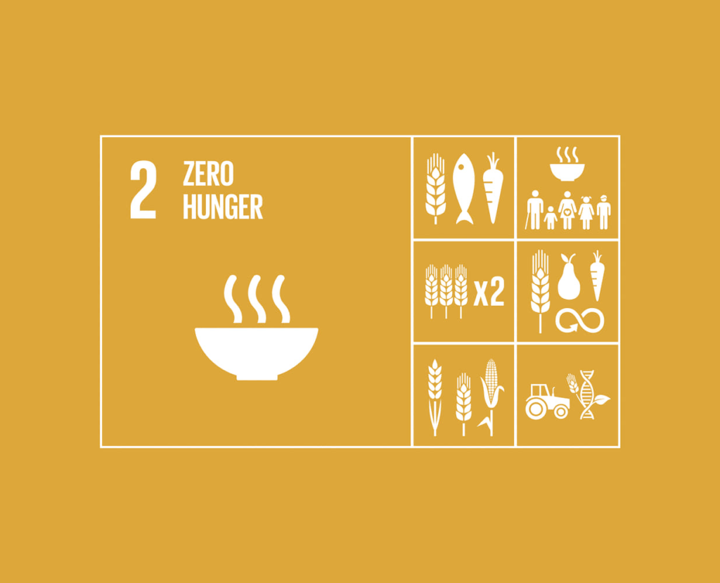 Sustainable Development Goal 2: Ending Hunger For A Better Future