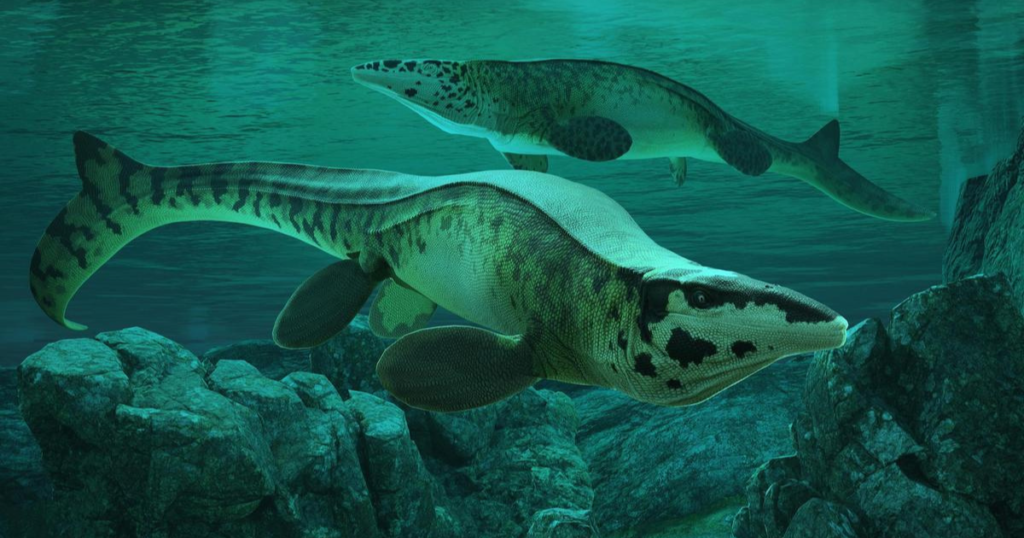 Meet Tylosaurus rex: The T. rex of the sea
