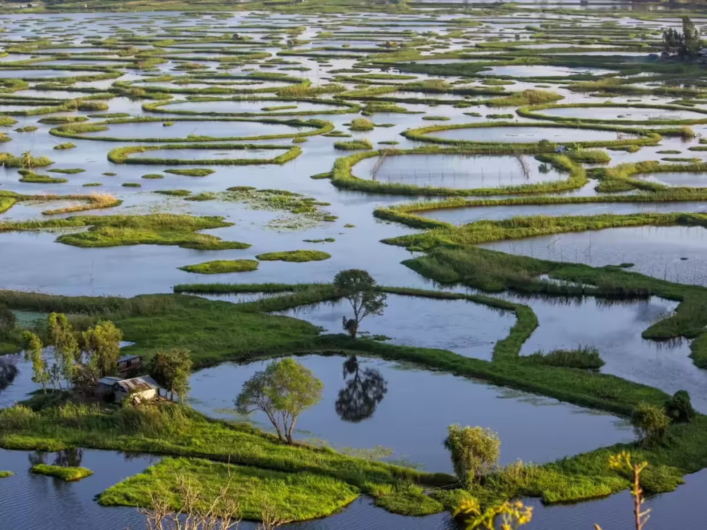 World Nature Conservation Day: 10 Ways India Is Protecting Nature