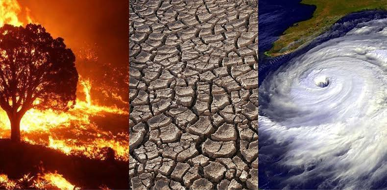 What Causes Climate Change? A Simple Guide for Kids