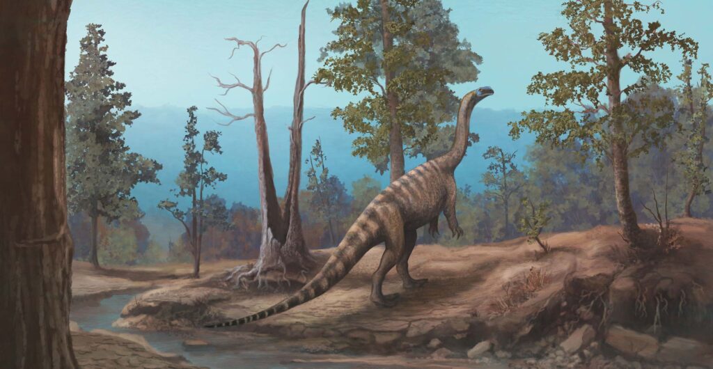 New Dinosaur Discovered in Zimbabwe: Meet Musango Matusadonaensis