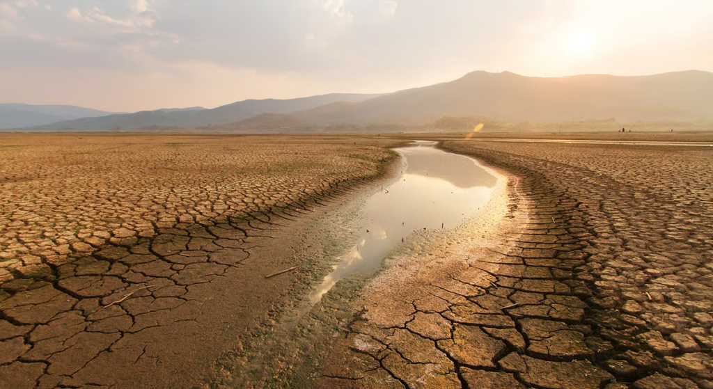More than half of England officially enters drought