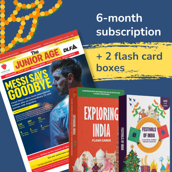 Festive Starter Bundle — 6-Month Subscription + 2 Flash Card Packs