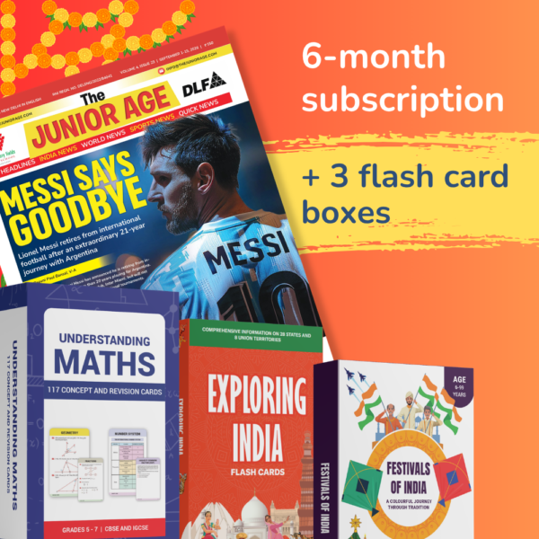 Festive Value Bundle — 6-Month Subscription + 3 Flash Card Packs
