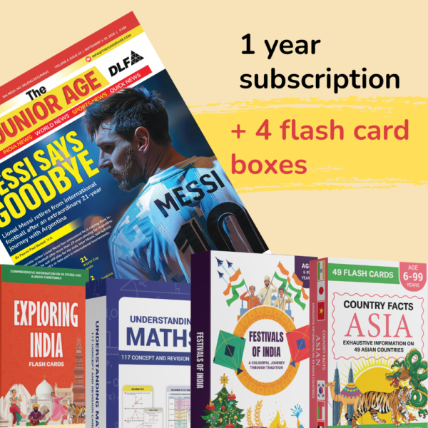 Grand Festive Bundle — 1-Year Subscription + 4 Flash Card Packs