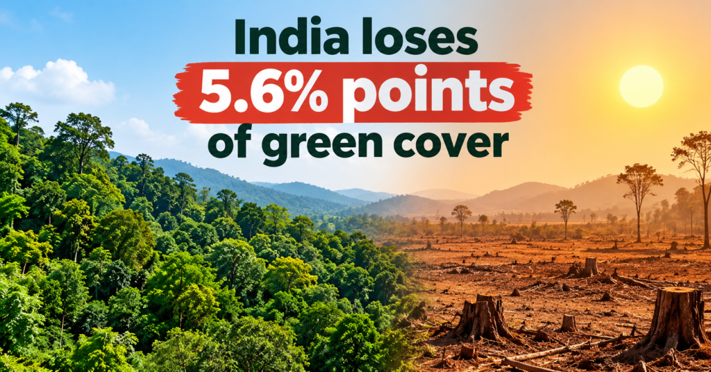 India Loses 5.6% Points of Green Cover as Heat Intensifies